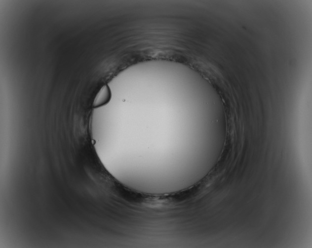 X0000086070607200704132042