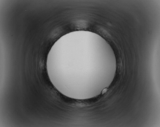 X0000086070608200704132042