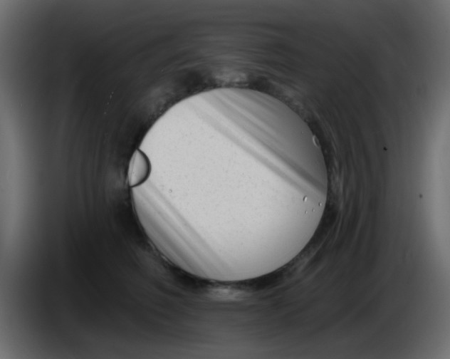 X0000086070614200704132042