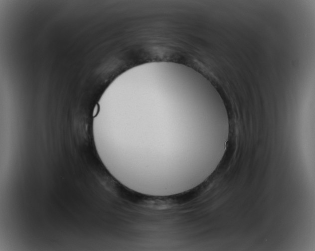 X0000086070615200704132042