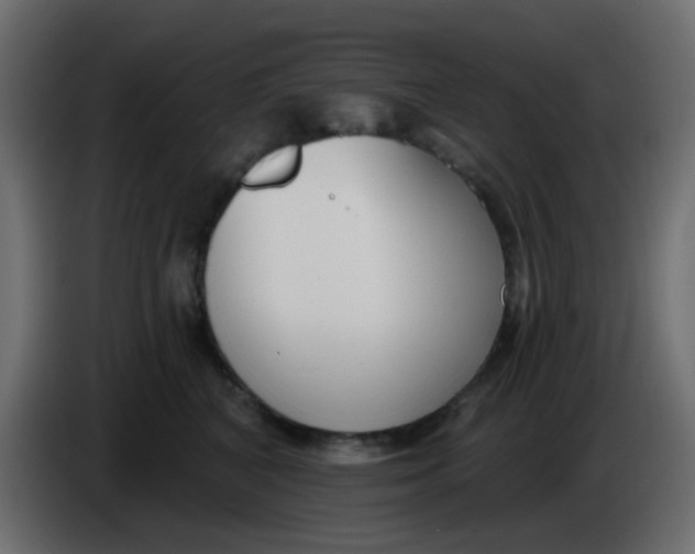 X0000086070616200704132042