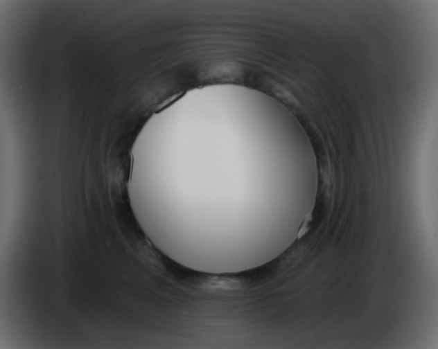 X0000086070617200704132042