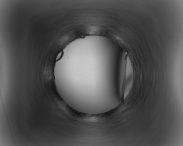 X0000086070620200704132042