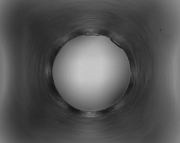 X0000086070623200704132042