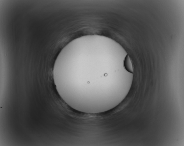 X0000086070624200704132042