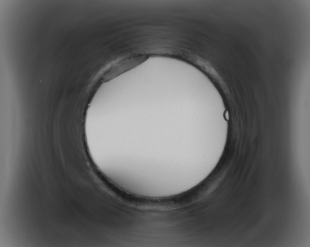 X0000086070625200704132041