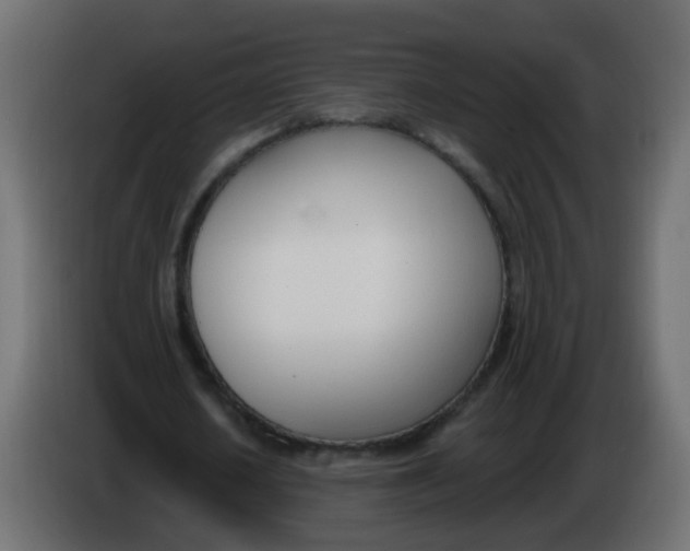X0000086070626200704132041