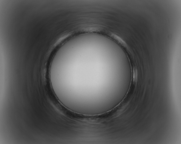 X0000086070627200704132041