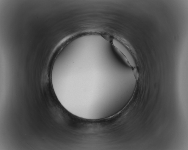 X0000086070628200704132041