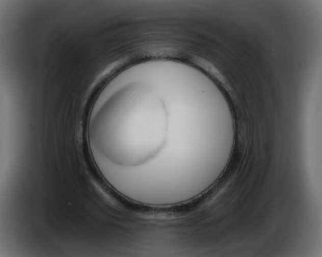 X0000086070629200704132041