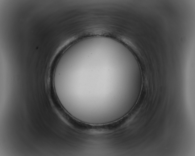 X0000086070630200704132041