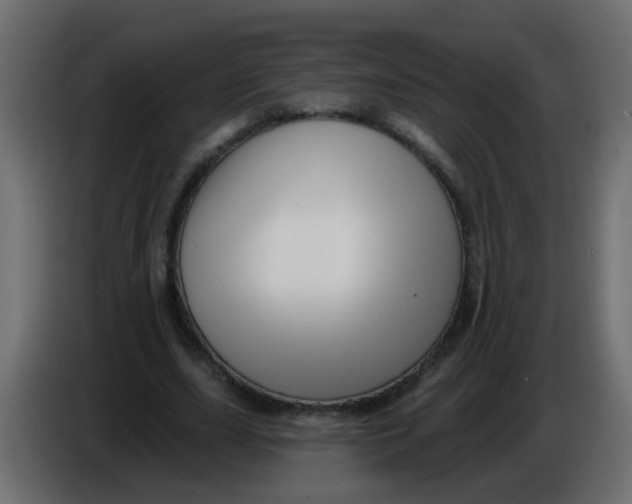 X0000086070631200704132041