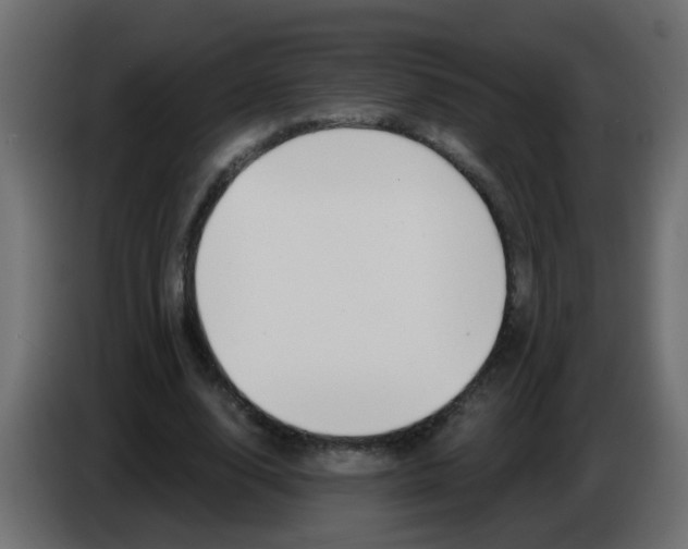 X0000086070632200704132041