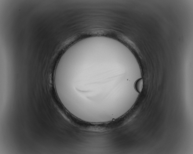 X0000086070633200704132041