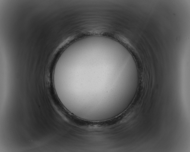 X0000086070634200704132041