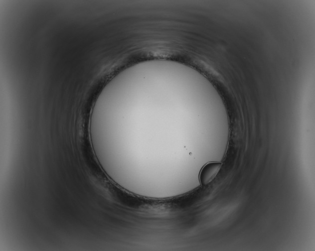 X0000086070639200704132041