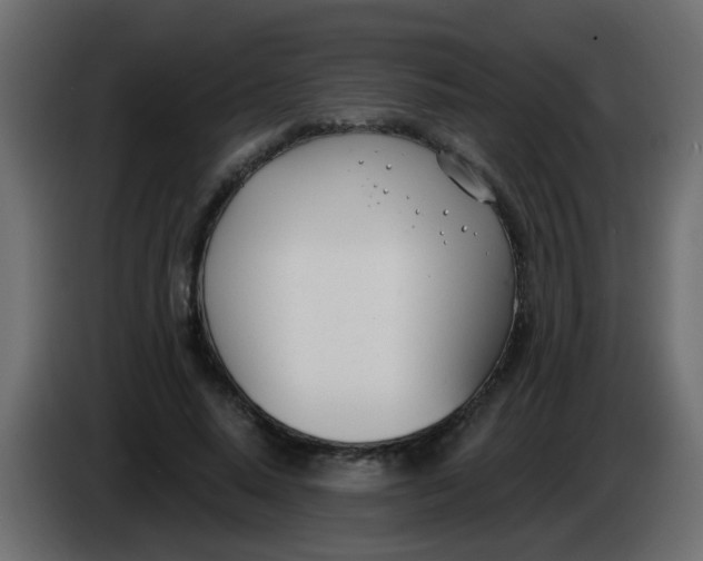X0000086070640200704132041