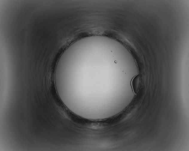 X0000086070641200704132041