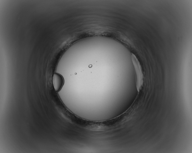 X0000086070642200704132041