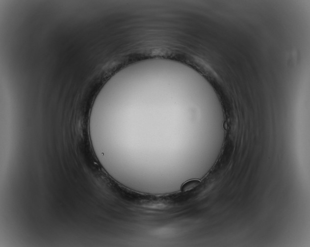 X0000086070643200704132041