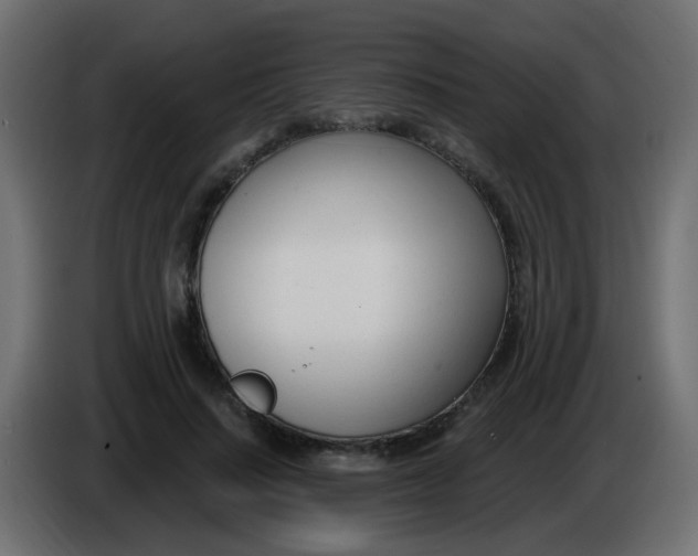 X0000086070644200704132041