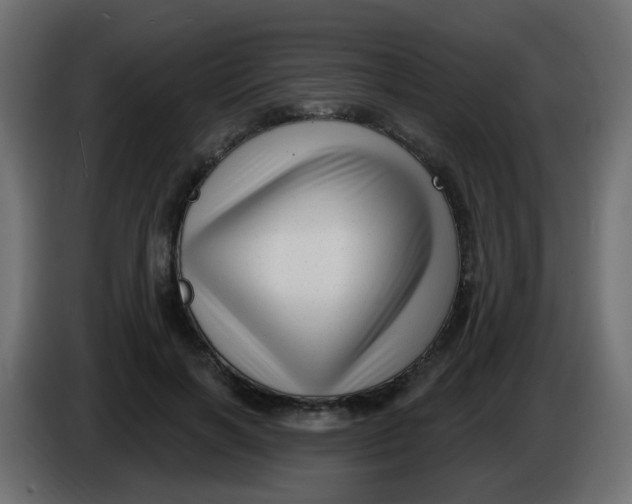 X0000086070646200704132041