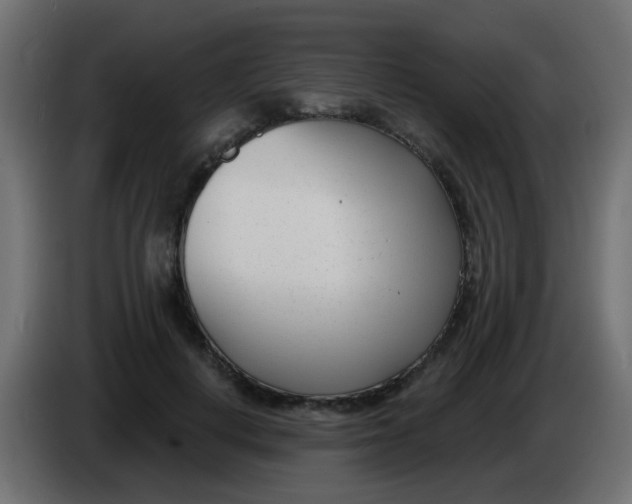 X0000086070648200704132041