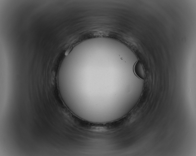 X0000086070649200704132041