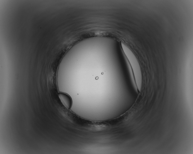 X0000086070650200704132041