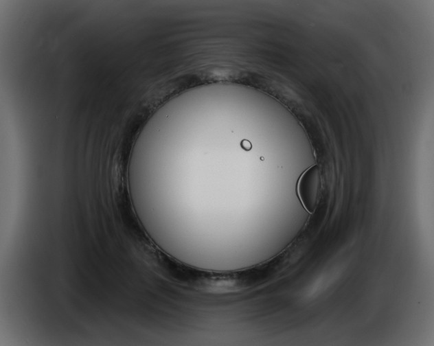 X0000086070651200704132041