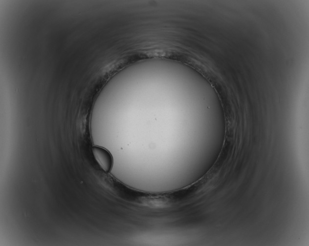 X0000086070652200704132041