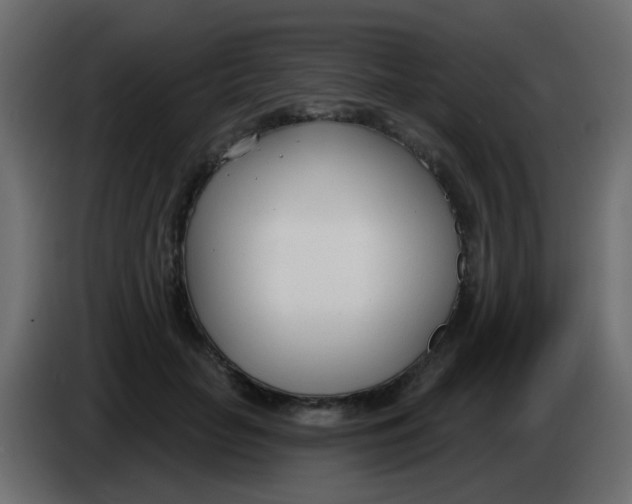 X0000086070653200704132041