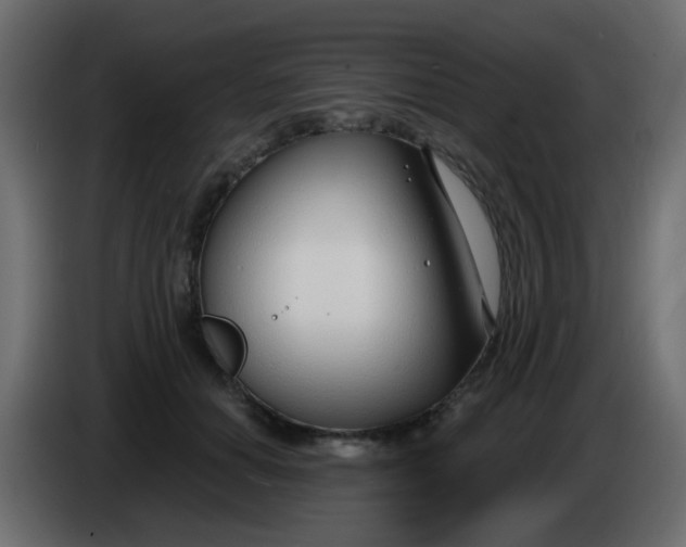 X0000086070654200704132041