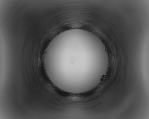 X0000086070655200704132041