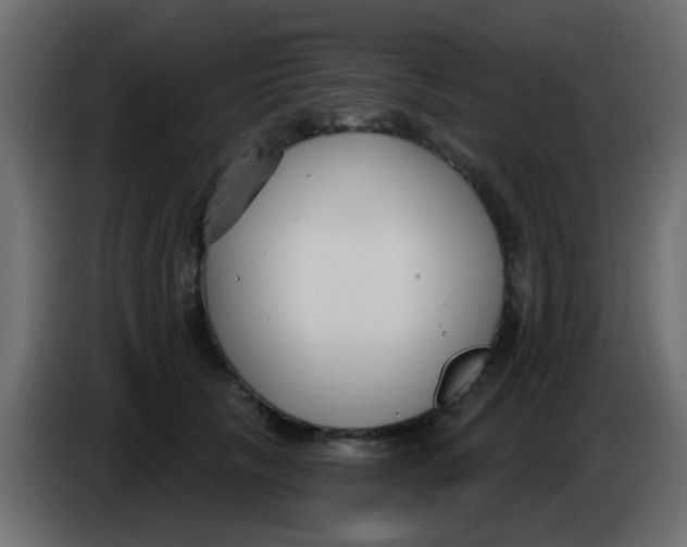 X0000086070657200704132041