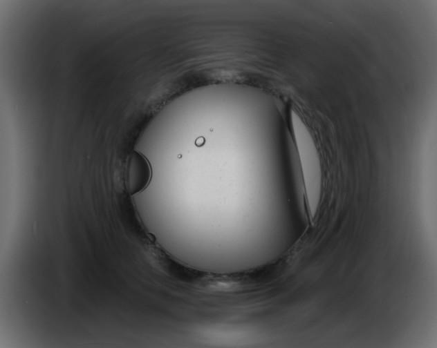 X0000086070658200704132041