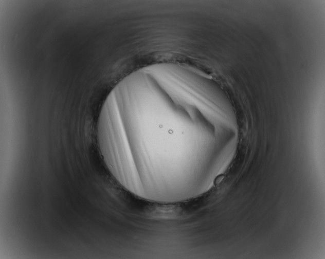 X0000086070659200704132041