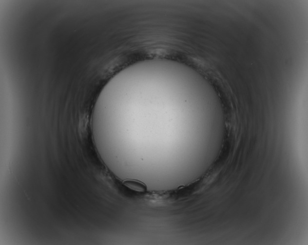 X0000086070660200704132041