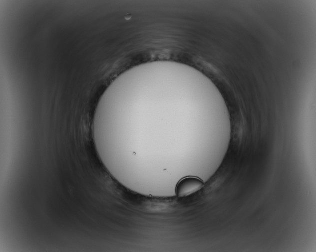 X0000086070661200704132041