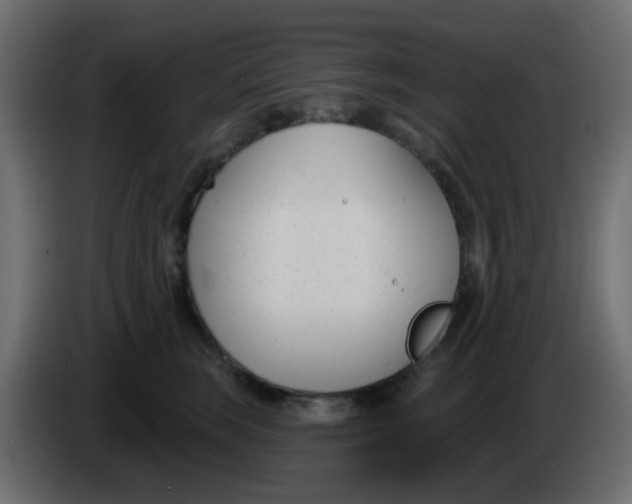 X0000086070663200704132041