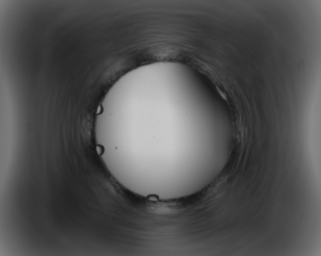 X0000086070664200704132041