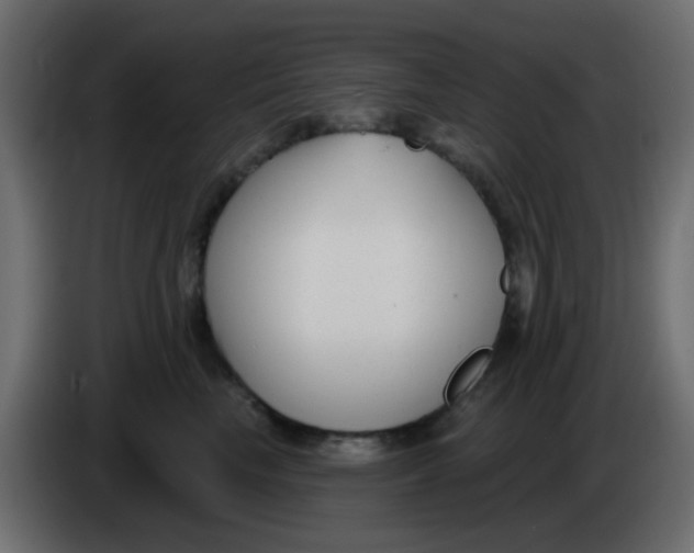 X0000086070665200704132041