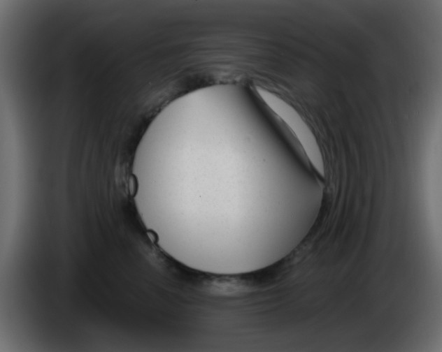 X0000086070666200704132041