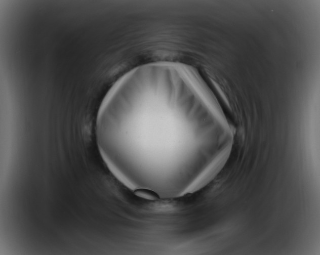 X0000086070668200704132042