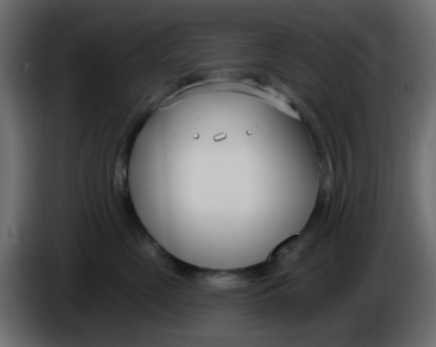 X0000086070669200704132042