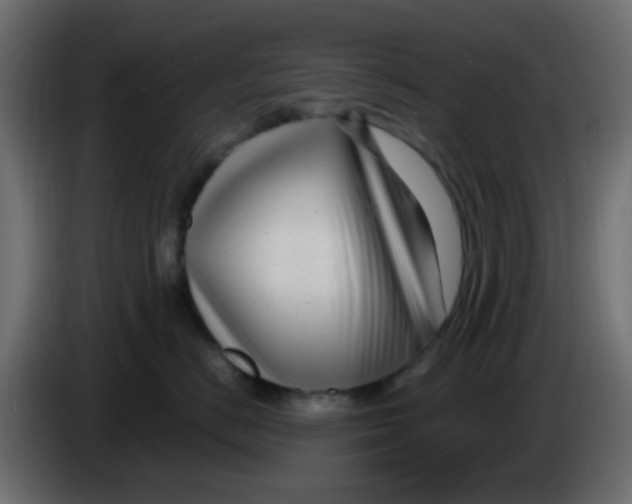 X0000086070670200704132042