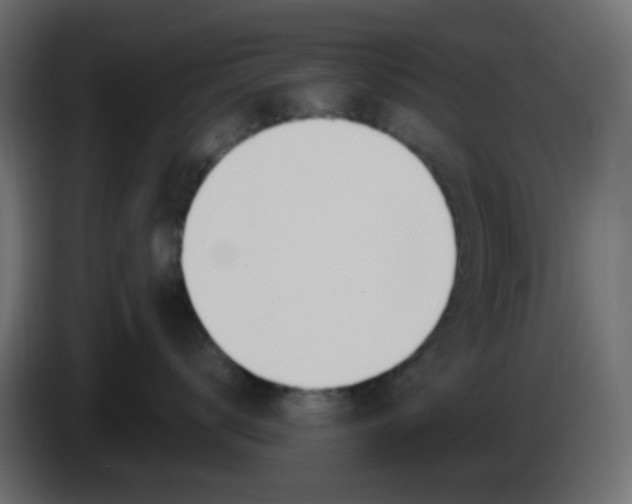 X0000086070672200704132042