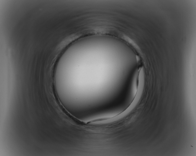 X0000086070673200704132041