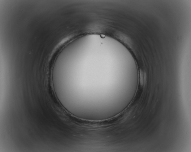X0000086070675200704132041