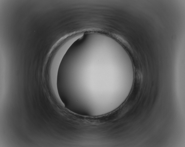 X0000086070676200704132041